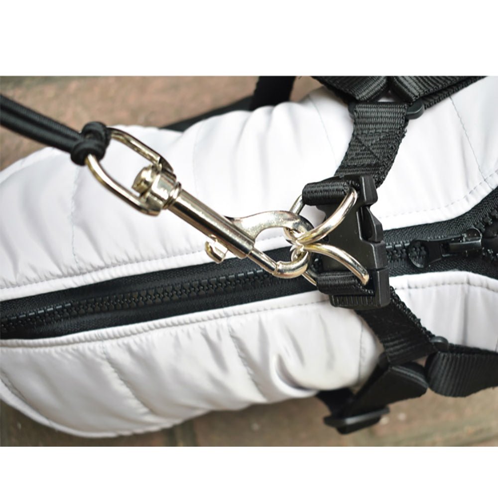 Bike Traction Lead Harness for Dogs - Pet Supplier Store