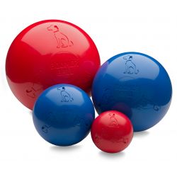 Boomer Ball - Pet Supplier Store