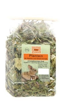 Burns Plantain - Pet Supplier Store