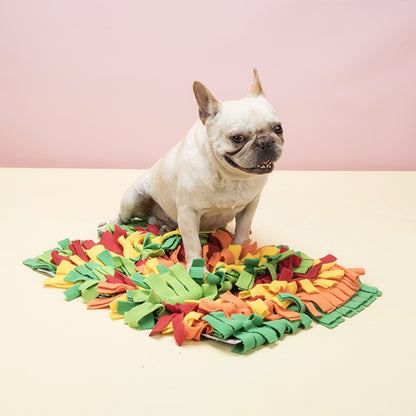Rainbow Pet Dog Sniffing Mat