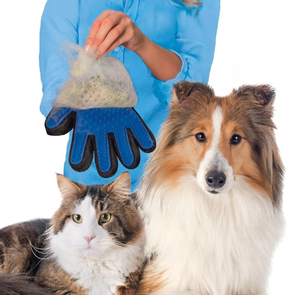 Dog grooming glove
