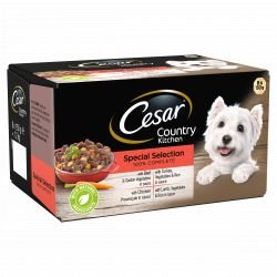 CESAR Country Kitchen Dog Trays Mixed Selection in Sauce 8x150g - Pet Supplier Store