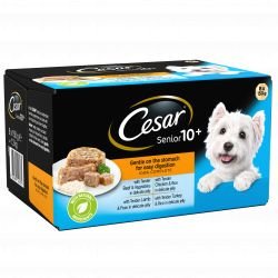 CESAR Senior Dog Trays Mixed Selection in Jelly 8x150g - Pet Supplier Store