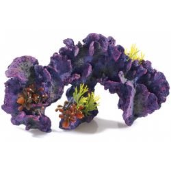 Classic Coral Garden Large - Pet Supplier Store