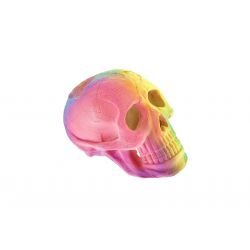 Classic Fluorescent Skull - Pet Supplier Store