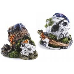 Classic Small Skull Assorted - Pet Supplier Store