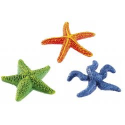Classic Star Fish - Pet Supplier Store