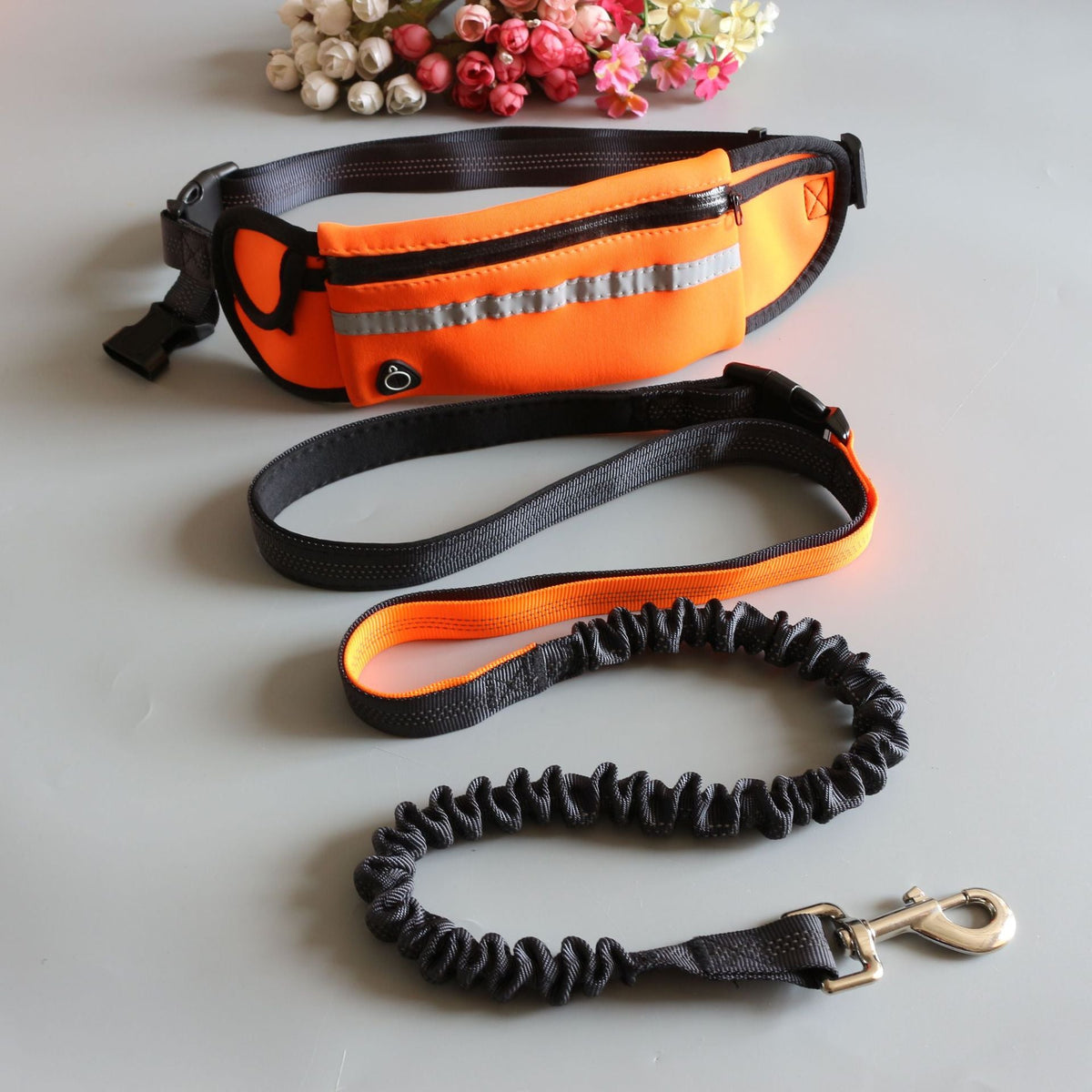 Dog Sport large Running traction rope Belt - Pet Supplier Store
