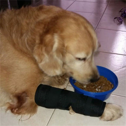 Dog Surgery Recovery Protects Joint Pet Knee Protector - Pet Supplier Store