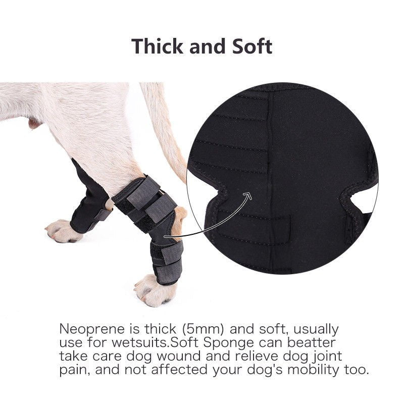 Dog Surgery Recovery Protects Joint Pet Knee Protector - Pet Supplier Store