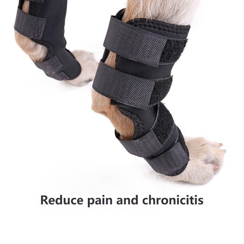 Dog Surgery Recovery Protects Joint Pet Knee Protector - Pet Supplier Store