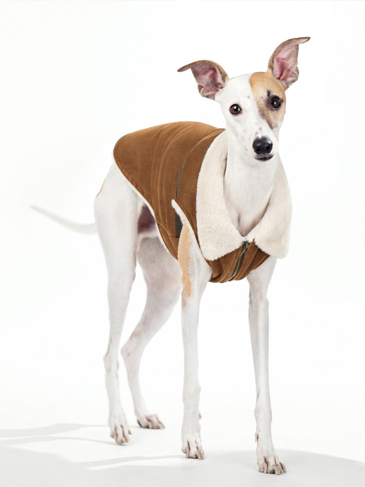 Sauve Dog Coat Jacket