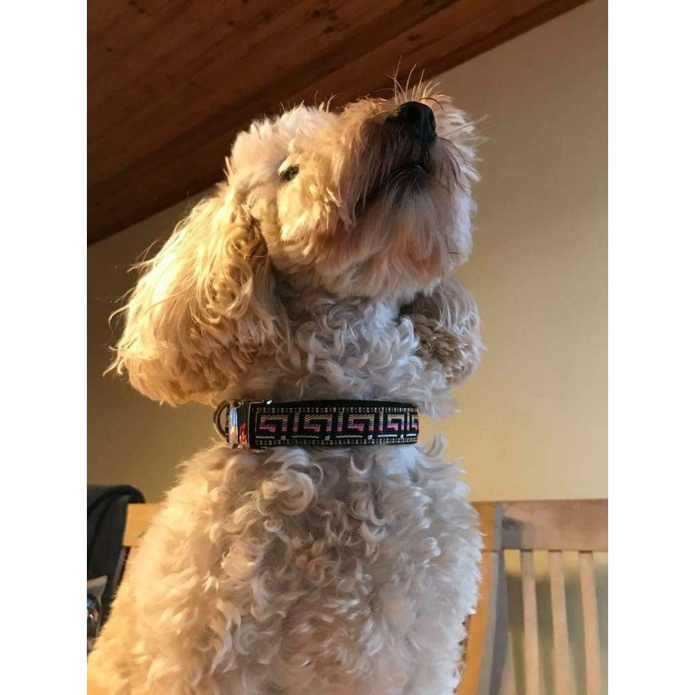 Durable Designer Dog Collar