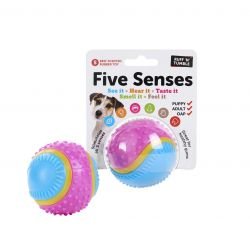 Five Senses Sensory Ball 6.35cm - Pet Supplier Store