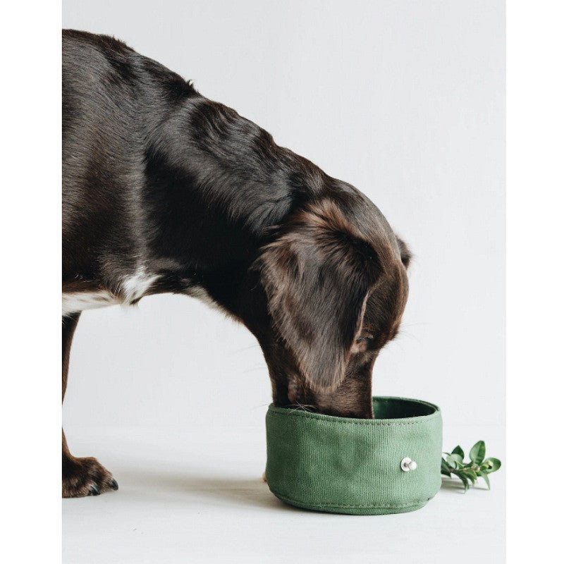 Folding Canvas Dog Bowl - Pet Supplier Store