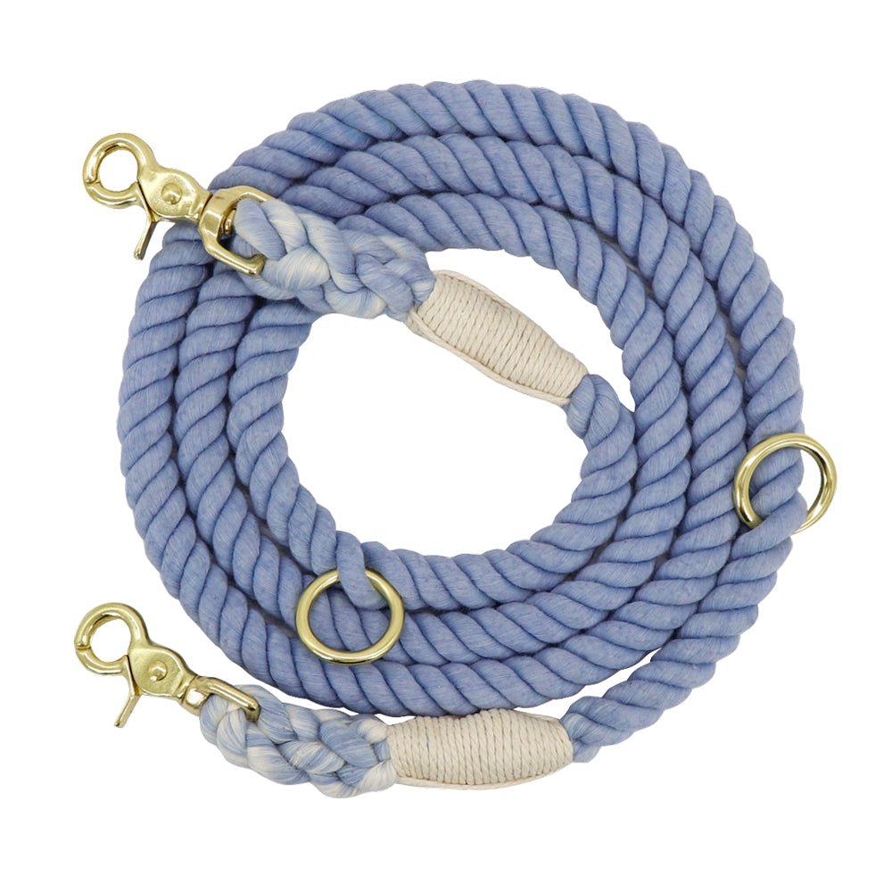 Gradient Pet Walking Dog Collars and Leads - Pet Supplier Store