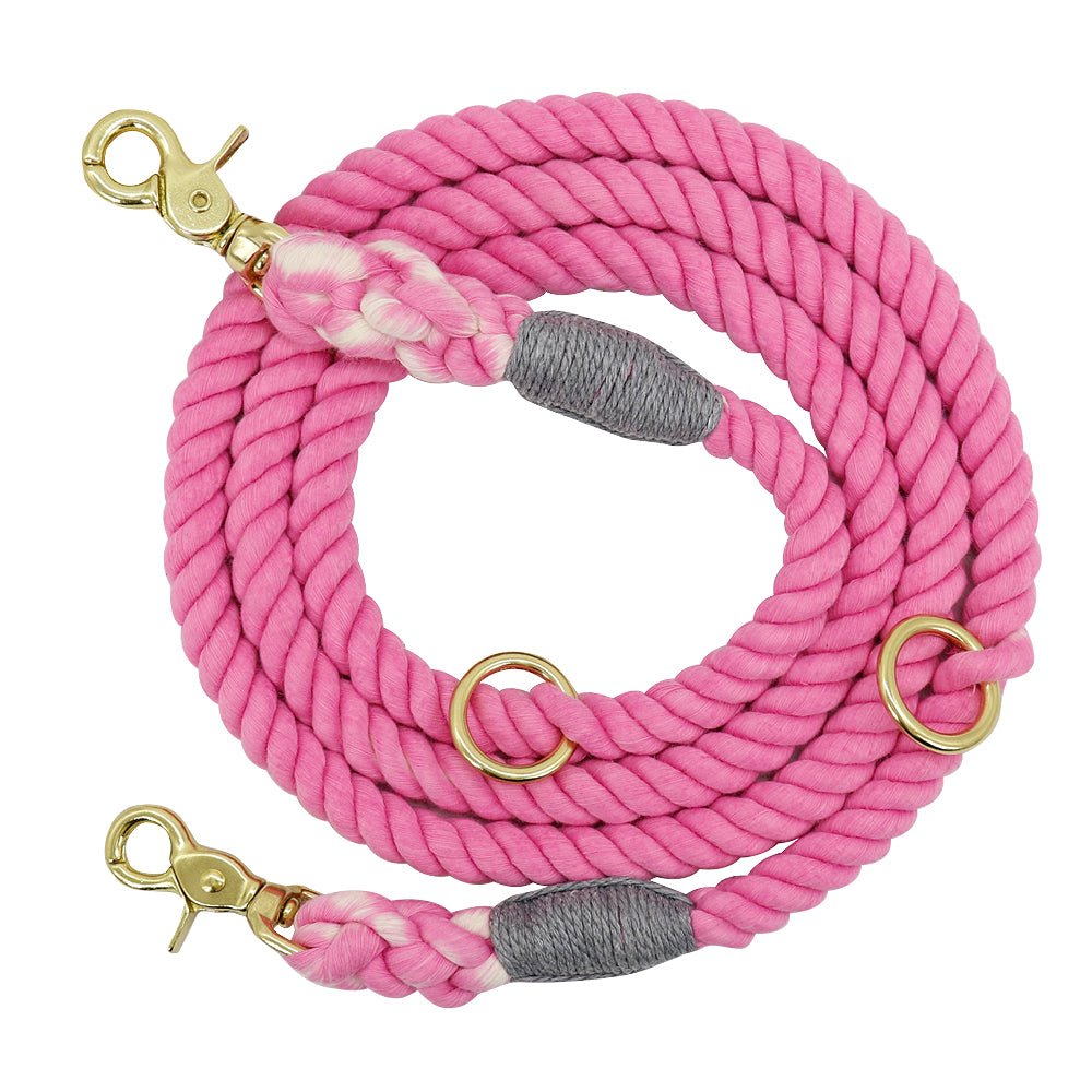 Gradient Pet Walking Dog Collars and Leads - Pet Supplier Store
