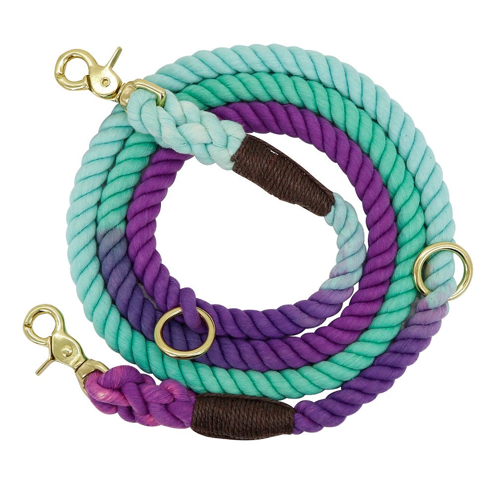 Gradient Pet Walking Dog Collars and Leads - Pet Supplier Store