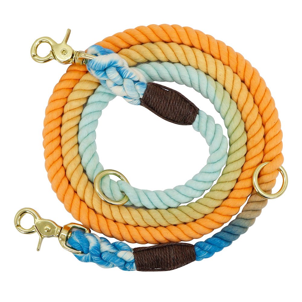Gradient Pet Walking Dog Collars and Leads - Pet Supplier Store