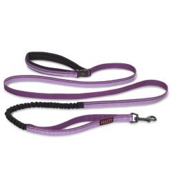 Halti All In 1 Lead Purple large 2.5cm - Pet Supplier Store