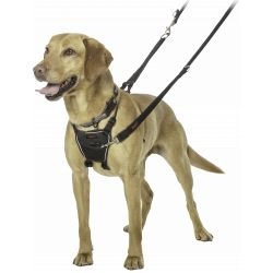 Halti No Pull Dog Harness Black - Pet Supplier Store