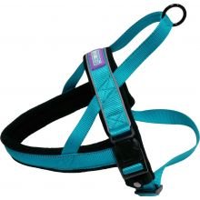 Hem & Boo Padded Harness Aqua - Pet Supplier Store