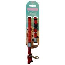 Hem & Boo Puppy Set Nylon Red - Pet Supplier Store