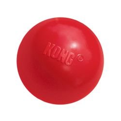 KONG Ball Medium / Large With Hole - Pet Supplier Store