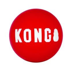 KONG Signature Balls Medium 2pk - Pet Supplier Store