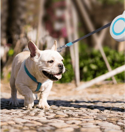 Lumi Retractable Pet Dog Lead - Pet Supplier Store