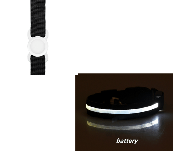 Night Safety Dog Collar Set - Pet Supplier Store