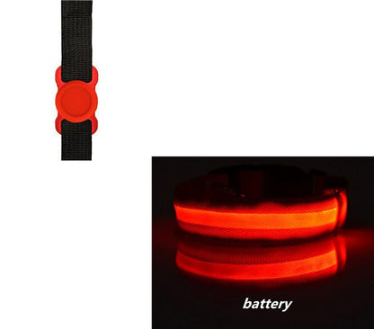 Night Safety Dog Collar Set - Pet Supplier Store