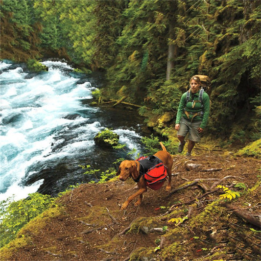Outdoor Backpack for dogs - Pet Supplier Store