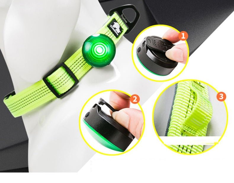 Pet Dog Collar LED Walking Light - Pet Supplier Store