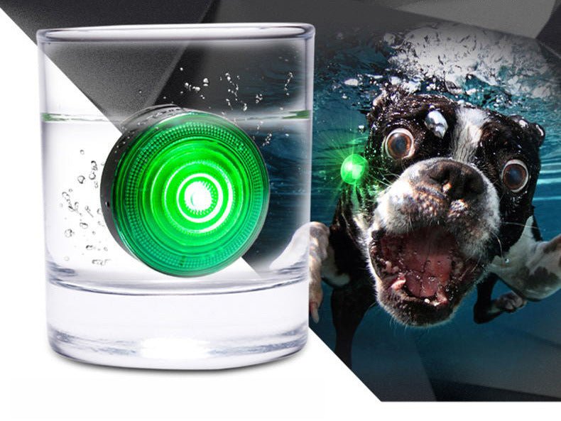 Pet Dog Collar LED Walking Light - Pet Supplier Store