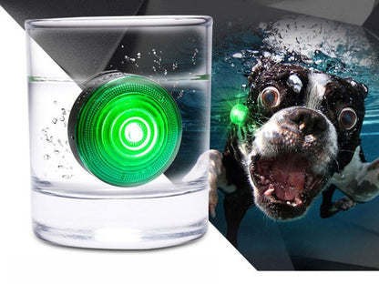 Pet Dog Collar LED Walking Light - Pet Supplier Store