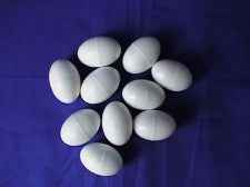 Pigeon Dummy Eggs Pack of 10 - Pet Supplier Store