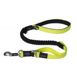 Rogz Control Lead Dayglo - Pet Supplier Store