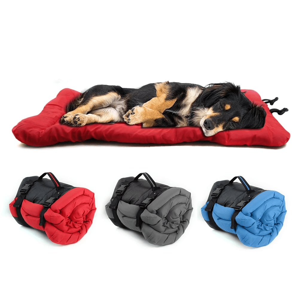 Roll up travelling sleeping lightweight portable dog bed - Pet Supplier Store