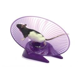 Small 'N' Furry Fly 'N' Saucer Wheel Large - Pet Supplier Store