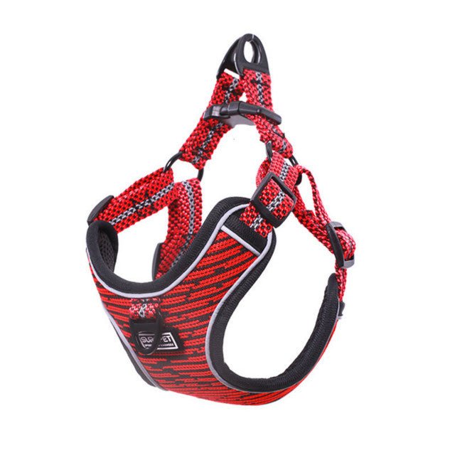 Sprint Pet Dog Harness and Lead Sets - Pet Supplier Store