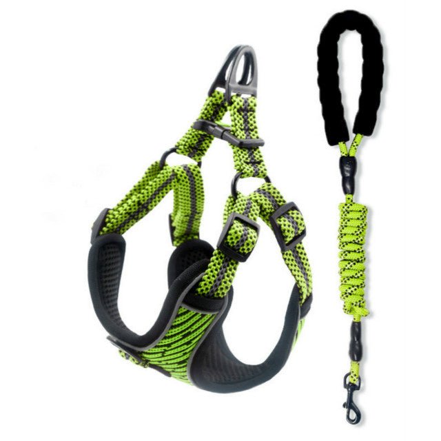 Sprint Pet Dog Harness and Lead Sets - Pet Supplier Store