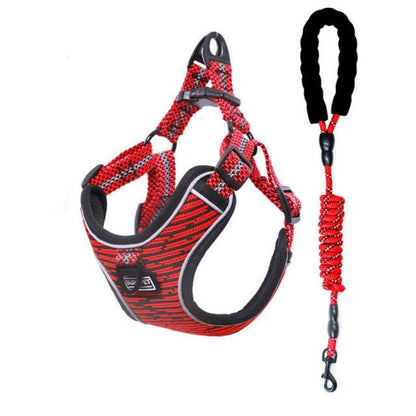 Sprint Pet Dog Harness and Lead Sets - Pet Supplier Store
