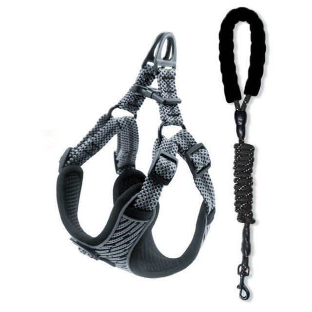 Sprint Pet Dog Harness and Lead Sets - Pet Supplier Store
