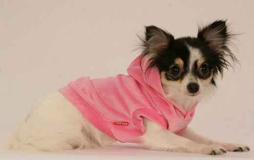 Velour Hoody Dog Coat - Pet Supplier Store