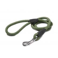 Walk 'R' Cise Dog Nylon Braided Trigger Hook Lead - Green - Pet Supplier Store
